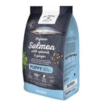 Go Native PUPPY WITH SALMON SPINACH & GINGER - Karma sucha dla szczeniąt ŁOSOŚ ZE SZPINAKIEM I IMBIREM 4kg